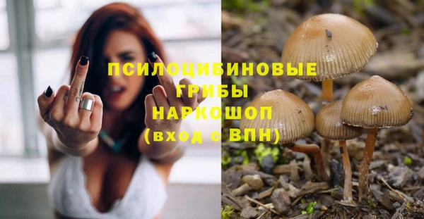 сатива Абаза