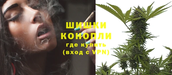 сатива Абаза