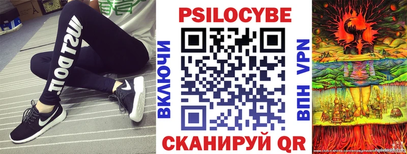 Псилоцибиновые грибы GOLDEN TEACHER  KRAKEN маркетплейс  Кисловодск  купить наркотики сайты 