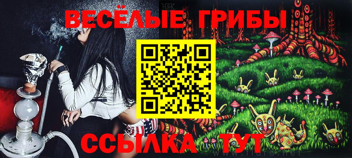 Галлюциногенные грибы мицелий Кисловодск
